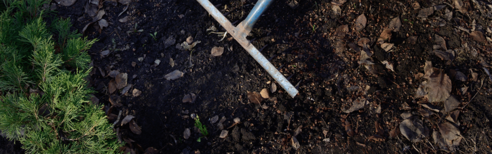 En der samler nedfaldne blade