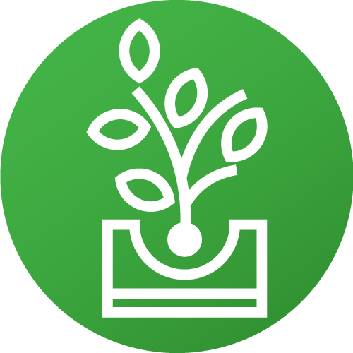 plante ikon
